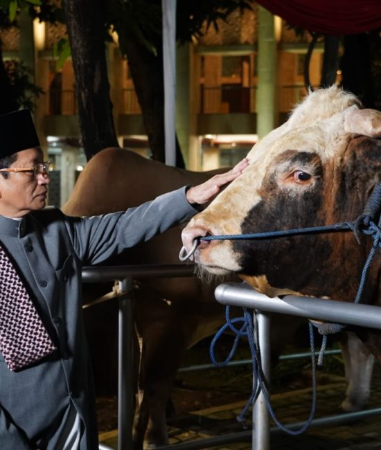 Kurban Iduladha 1447 H Tembus 2 Juta Ekor, Perputaran Ekonomi Capai Rp18,28 Triliun