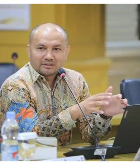 Direktur Eksekutif KPPOD Armand Suparman. Foto: Istimewa