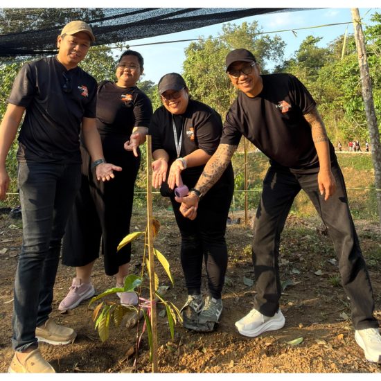 Four Points by Sheraton Balikpapan turut ambil bagian dengan melakukan aksi nyata pelestarian lingkungan di IKN. Foto: Istimewa
